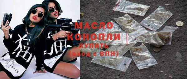 шишки Няндома