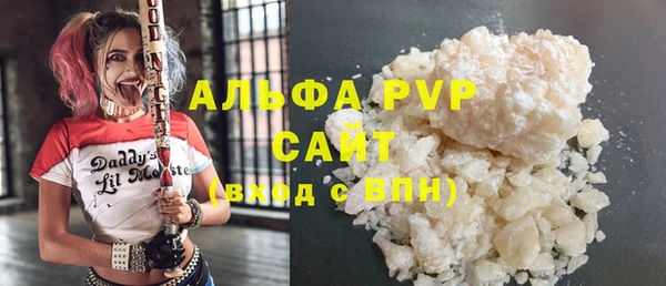 шишки Няндома