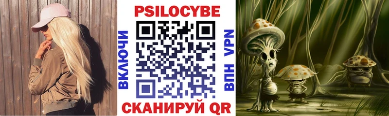 Псилоцибиновые грибы мицелий  дарнет шоп  Торопец 